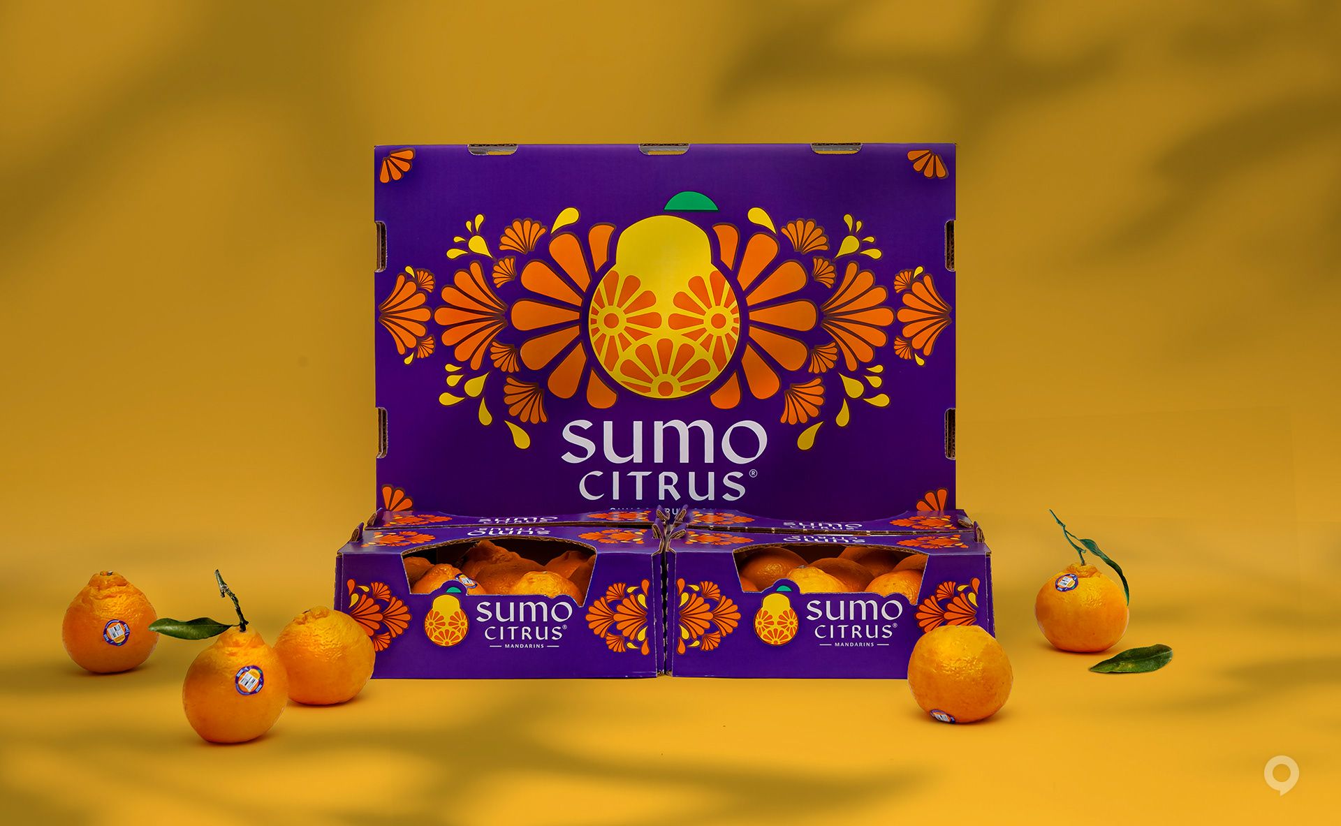 美国Sumo Citrus甜橙包装设计欣赏(图1)