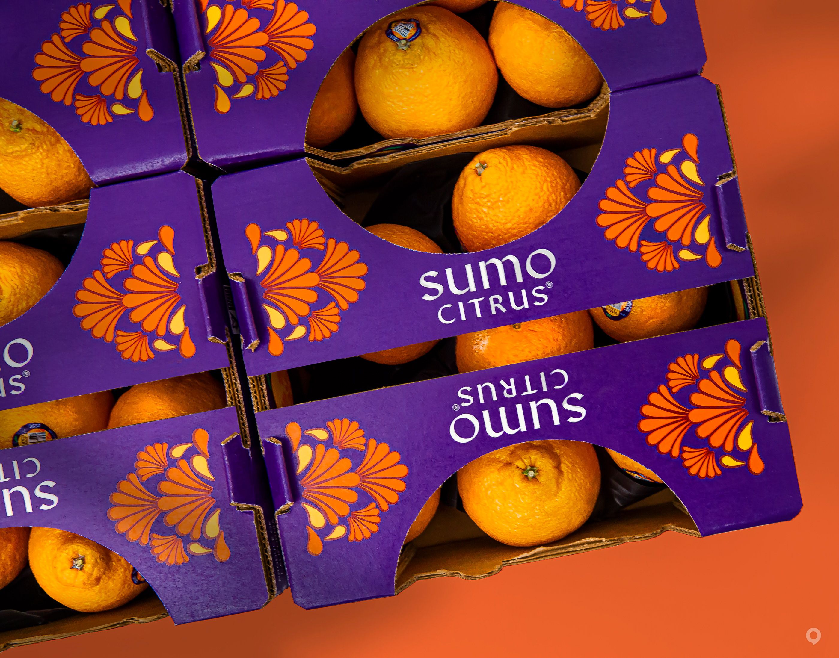 美国Sumo Citrus甜橙包装设计欣赏(图5)