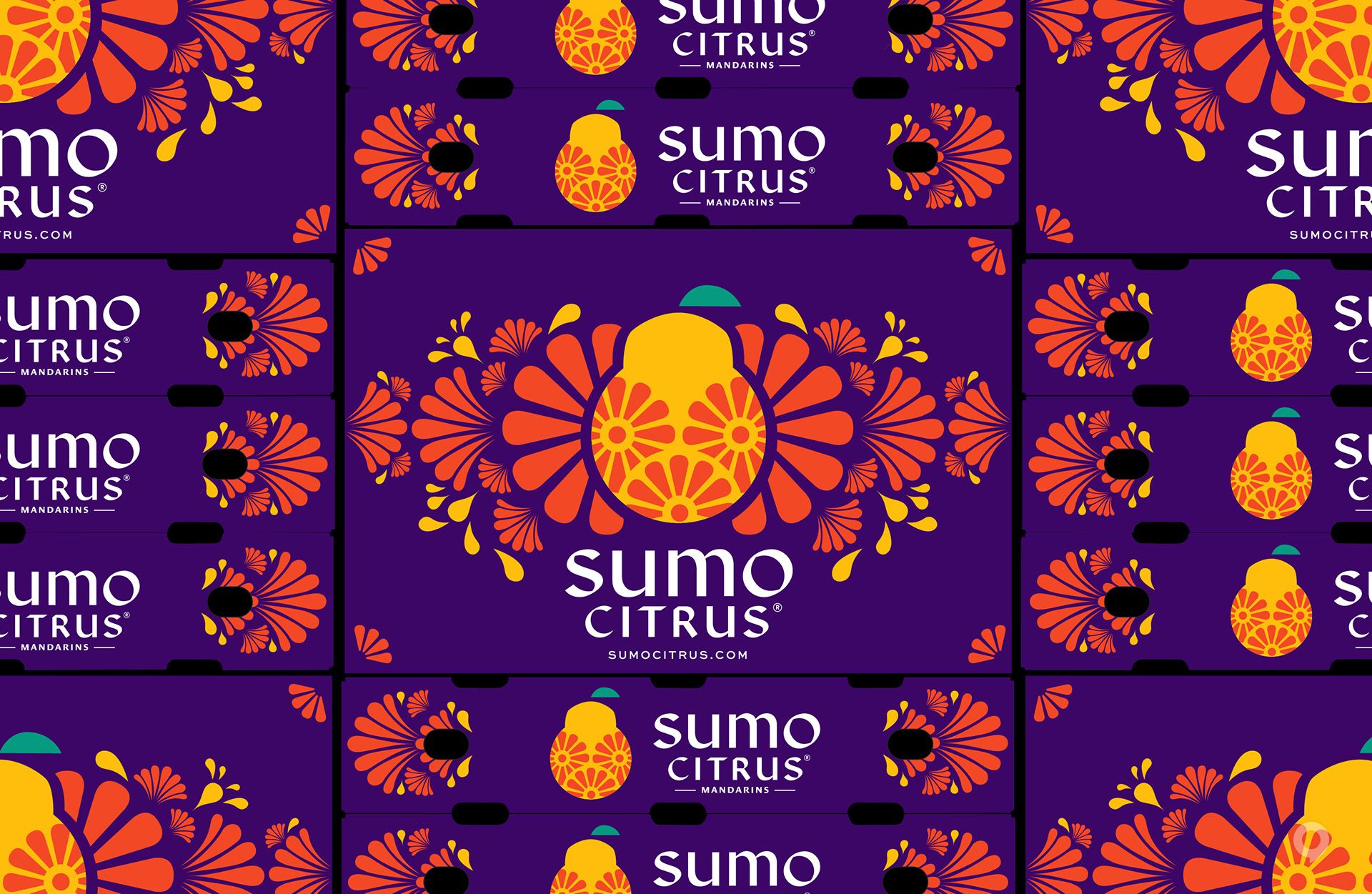 美国Sumo Citrus甜橙包装设计欣赏(图12)